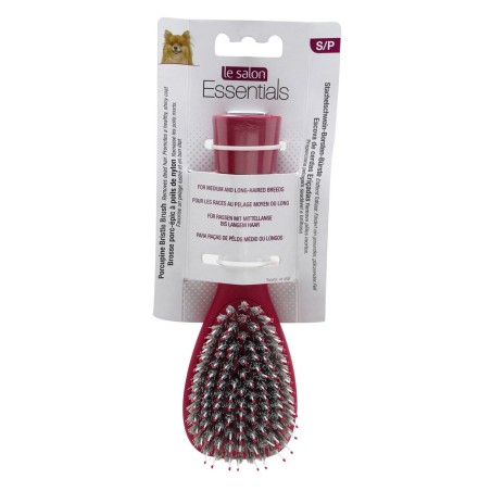 Le Salon Essentials Porcupine Bristle Brush