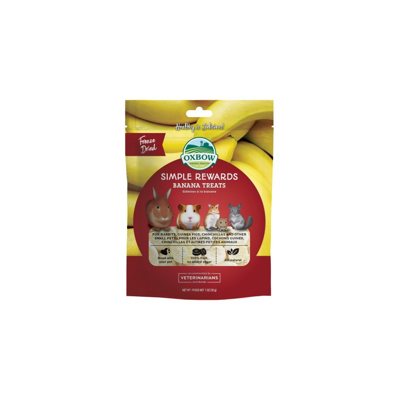 Simple Rewards Banana Treats