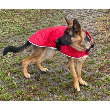 Happy Pet  Quilted Classic Cappotto