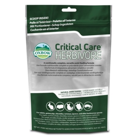 Critical Care