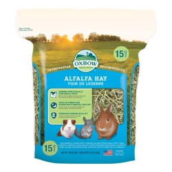 Alfalfa Hay 0,425 Kg