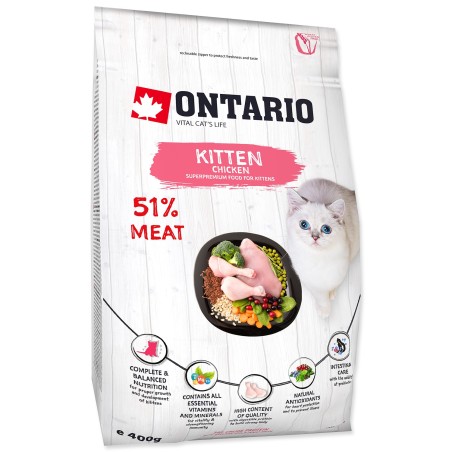 ONTARIO KITTEN 