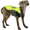 Dog Clothing  Trainer - t-shirt cane con cappuccio