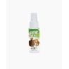 Catnip Spray